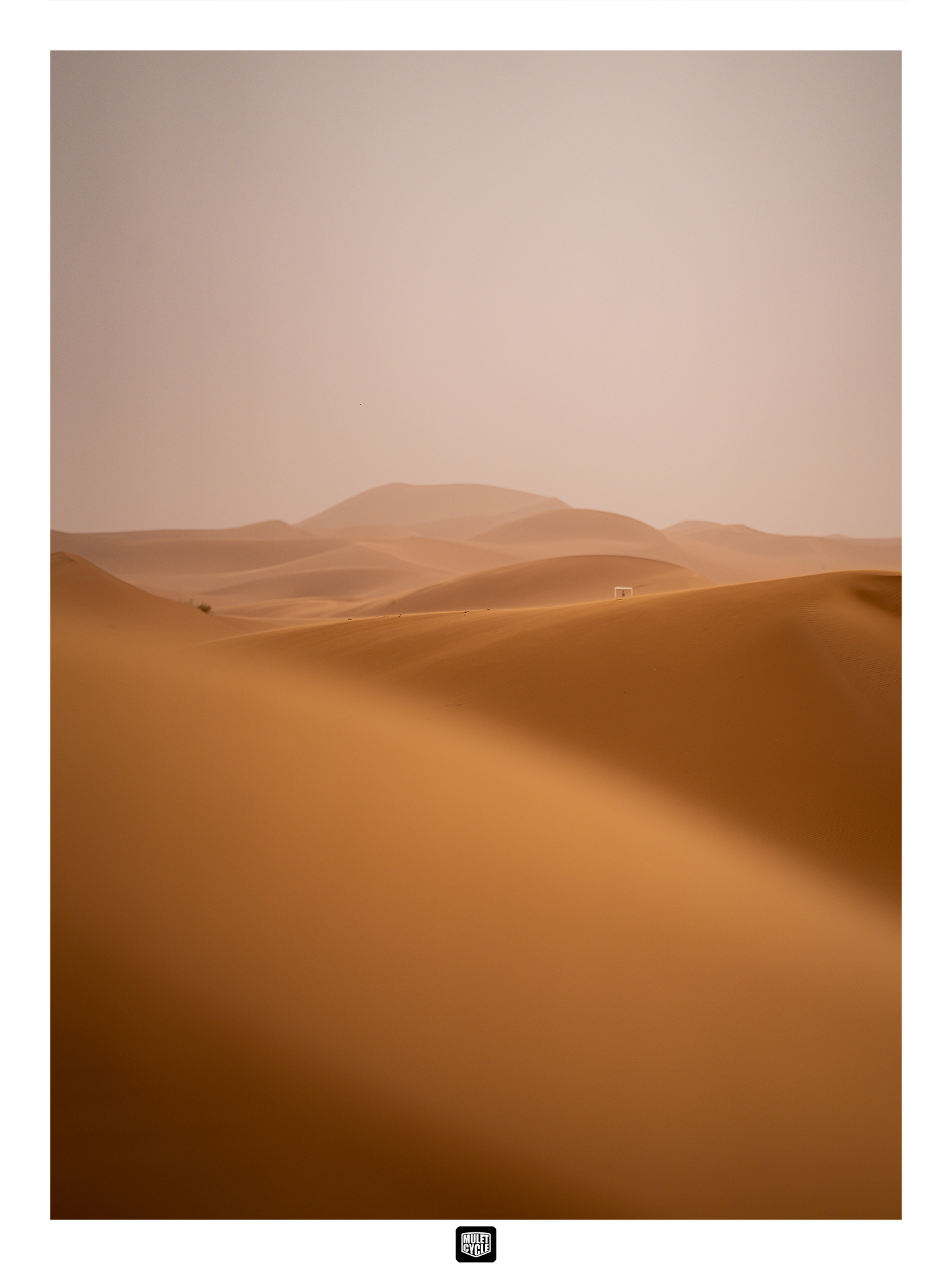 Dunes De Merzouga Mulet Cycle Photographie Aventures Moto 